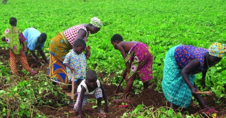 <strong>Togo : Le PAEJ-SP moteur de l’insertion socioprofessionnelle des jeunes togolais</strong>