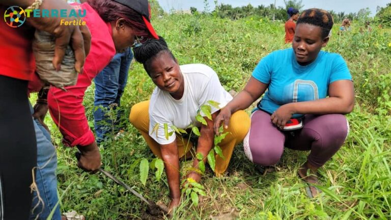 Campagne nationale de reboisement 2023: 450 plants mis en terre pour Terreau Fertile à Tsévié