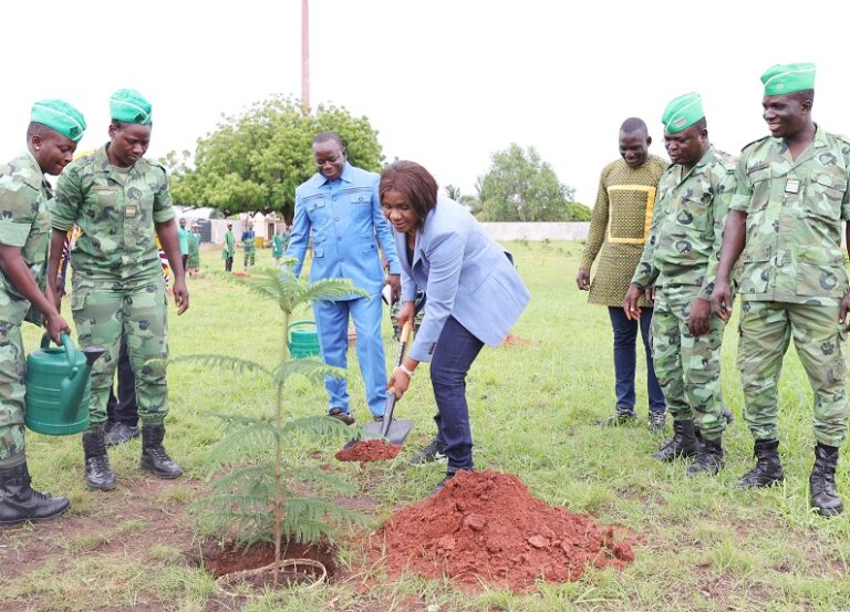 Campagne nationale de reboisement : L’objectif cent millions d’arbres par an se poursuit  