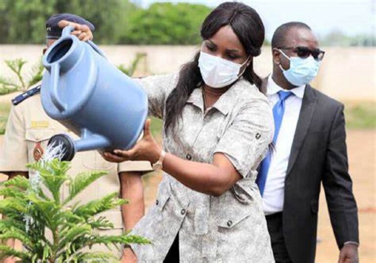 Togo : La campagne nationale de reboisement fait son bonhomme de chemin