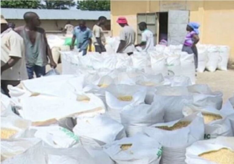 Sécurité alimentaire : Le Togo se dote d’un plan de septennal