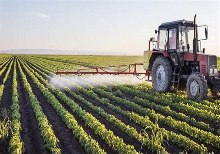 Le Togo mise sur son agriculture pour réduire l’inflation
