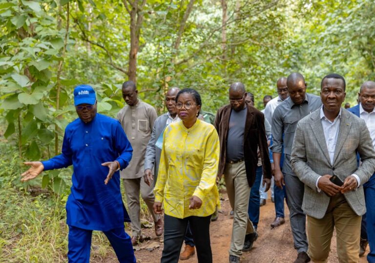 Togo : Victoire Dogbé en visite sur le site de la Forêt classée de Lilikopé