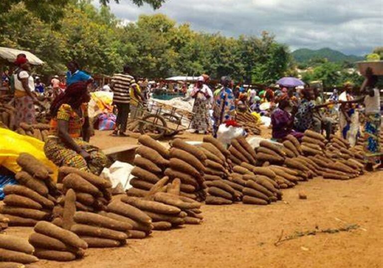 Togo : Le PRIMA porté pour stimuler le commerce agricole