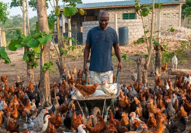 Togo : Le PNPER pour booster l’entreprenariat rural