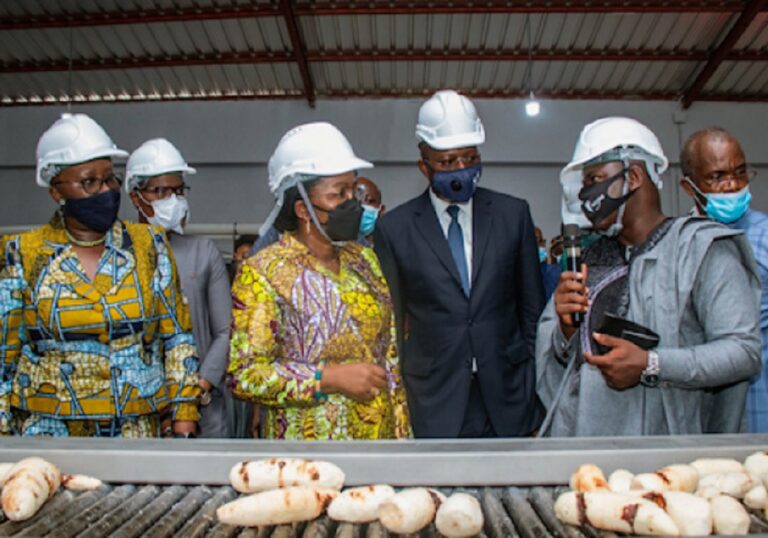 Insertion des jeunes : Le  Paeij-SP fait cas d’un projet à forts impacts au Togo