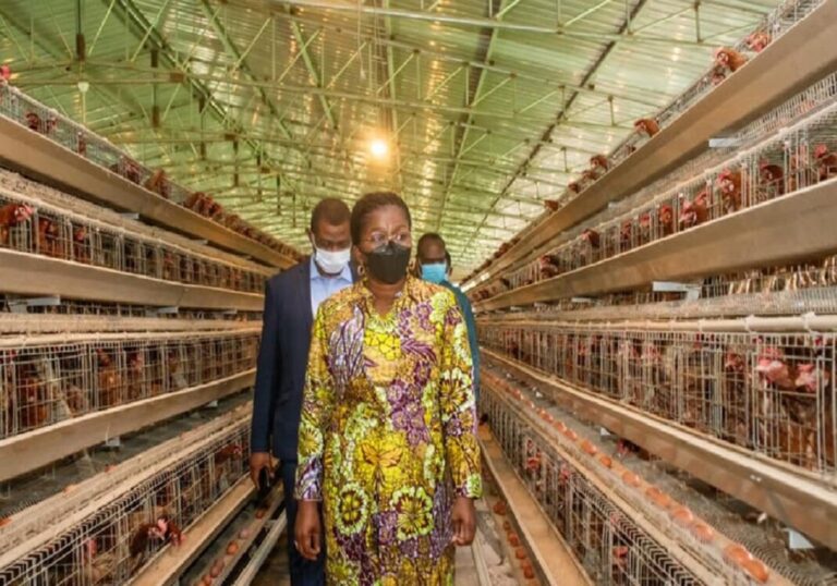 Partenariat : le Mifa et la PIA portent haut le secteur agricole