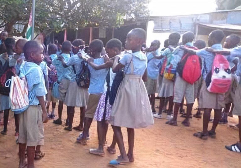 Scolarisation : La petite fille hautement représentée au Togo