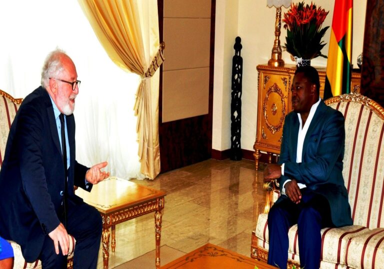 Partenariat public-privé au Togo, du succès exemplaire