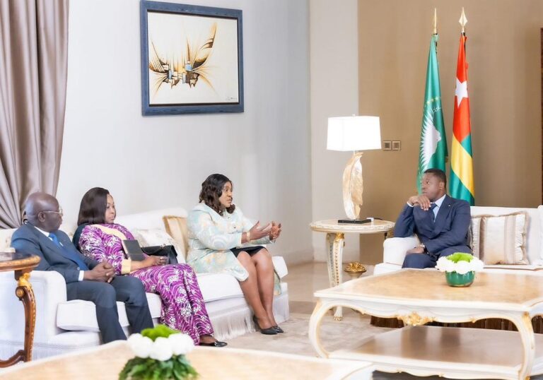 Changement de la constitution : l’assemblée nationale va consulter les forces vives togolaises