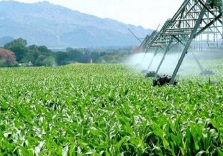 Togo : Vers un meilleur avenir pour l’agriculture