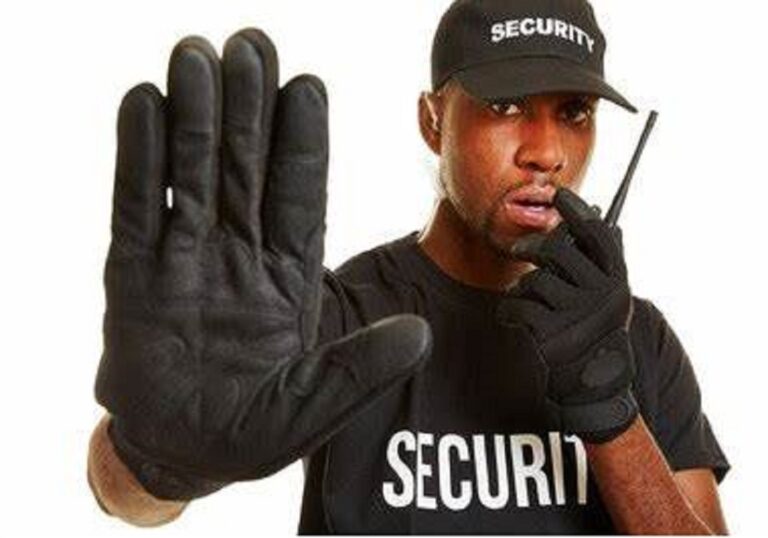 Le Togo est un acteur pivot de la sécurité collective en Afrique