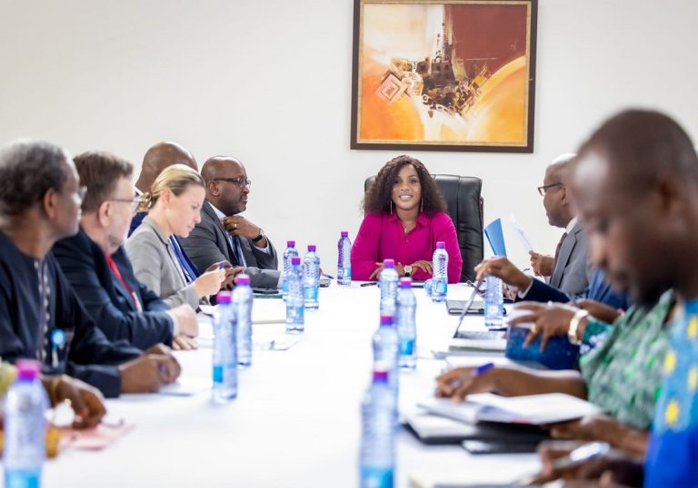 Coopération : Le Togo échange avec ses partenaires techniques et financiers