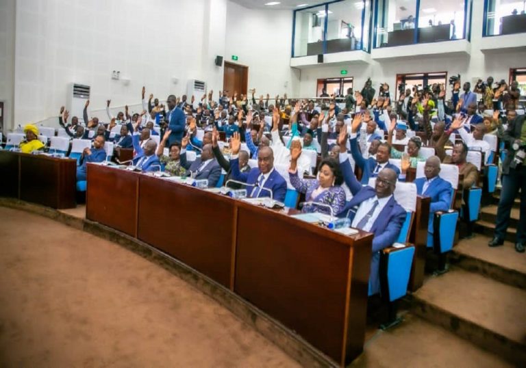 Togo : Les députés approuvent les orientations du nouveau gouvernement