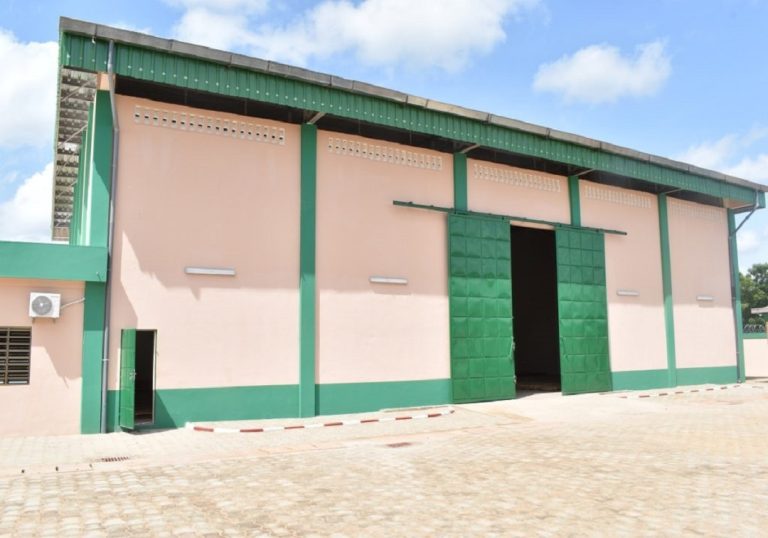 Construction de 663 magasins de stockage de produits agricoles au Togo