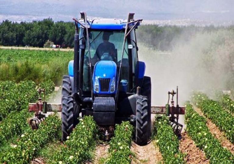 Agriculture : les rêves se réalisent au Togo