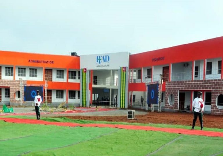 Le Togo promeut l’inclusion des filles dans la formation technique et professionnelle