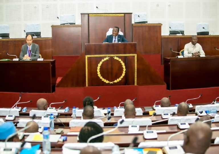 Togo : Les députés renforcent leurs capacités sur les fondamentaux de l’égalité de genre et la budgétisation sensible au genre