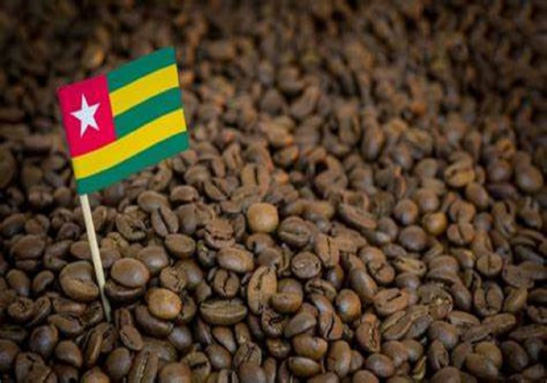 Togo : De grandes ambitions pour la filière café et ses producteurs