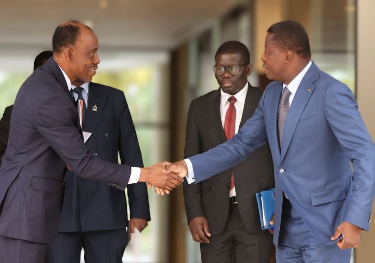 Santé reproductive : échanges entre Faure Gnassingbé et le responsable du GIERAF