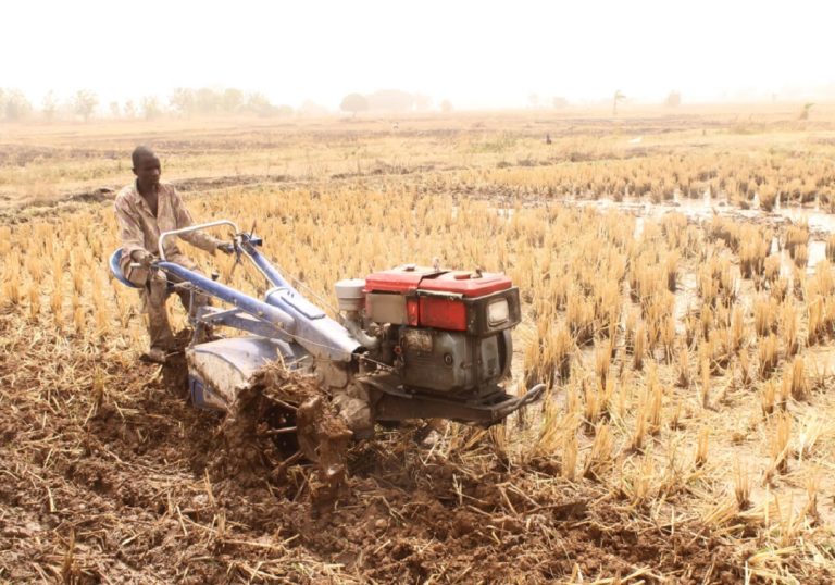 Togo : forte diffusion des technologies agricoles