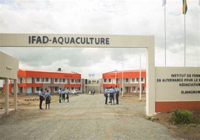 Les IFAD bons secours des jeunes togolais