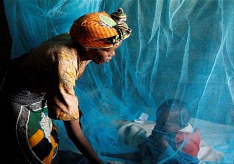 Lutte contre le Paludisme : Un plan stratégique salvateur pour le Togo