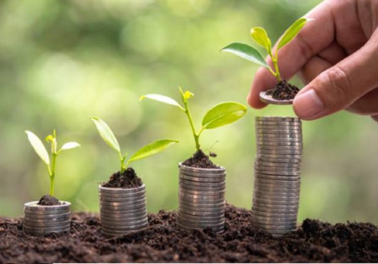 Développement durable : le Togo obtient un nouveau progrès