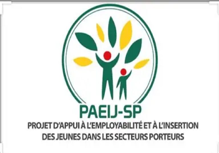 Paeij-SP : le nombre d’emplois créés par région en 2024