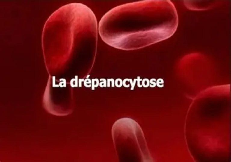 Lutte contre la drépanocytose : le Togo avance