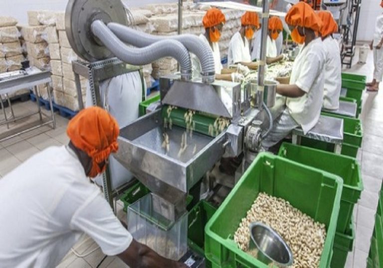 Développement de l’agro-industrie : le Togo avance