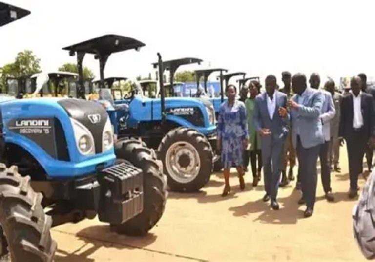 Économie : le Togo n’arrête pas de moderniser son agriculture