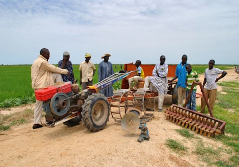 Chaînes de valeur : une stratégie intégrée pour transformer l’agriculture togolaise