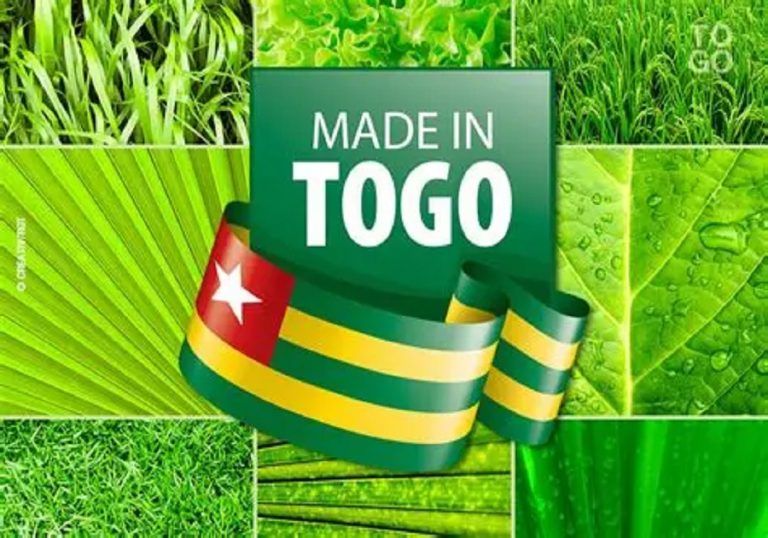 Développement économique : la transformation locale change de dimension