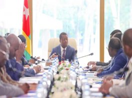 Togo: deux nouvelles figures renforcent le gouvernement