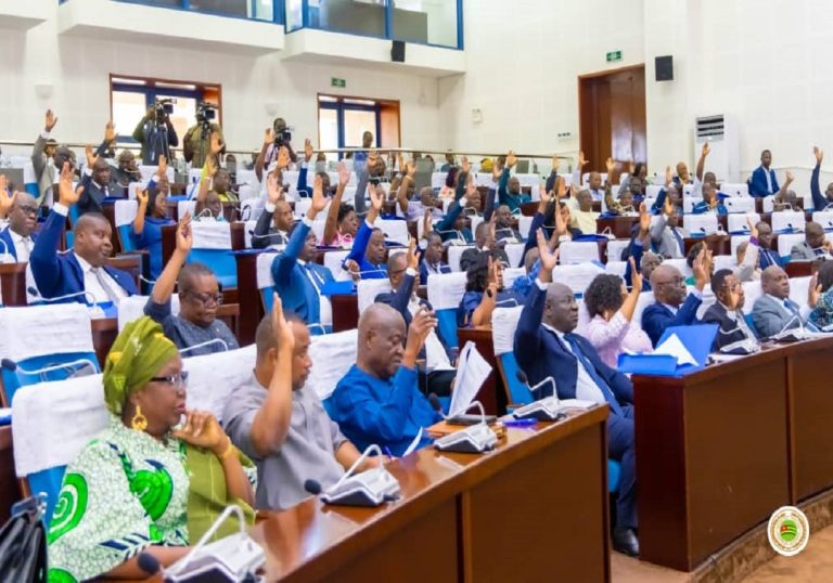 Togo: l’assemblée nationale adopte la loi de finance rectificative exercice 2025