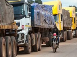 Commerce transfrontalier : des réformes togolaises appréciées pour leur efficacité