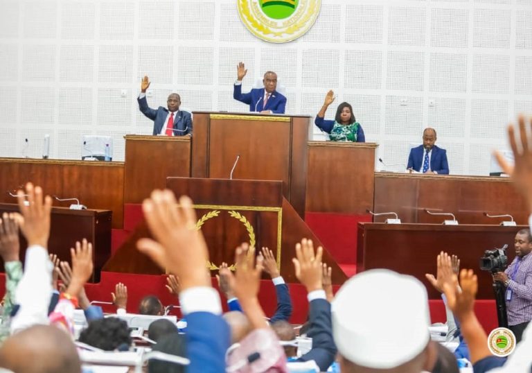 Gazoduc de l’Afrique de l’Ouest : l’Assemblée nationale adopte  la réforme du cadre juridique et fiscal